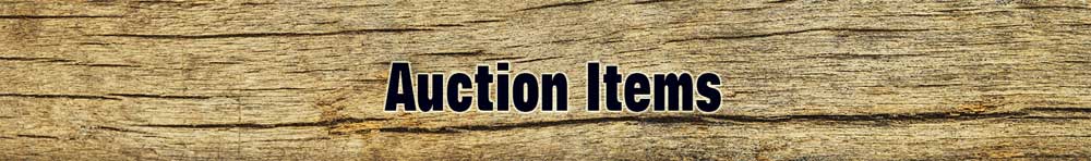 Auction Items
