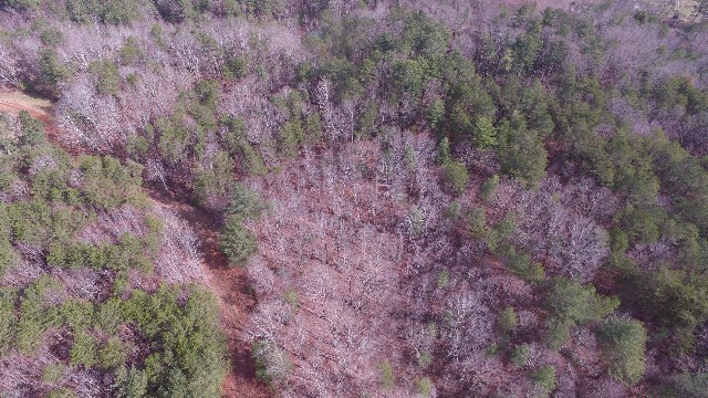 DJI_0006