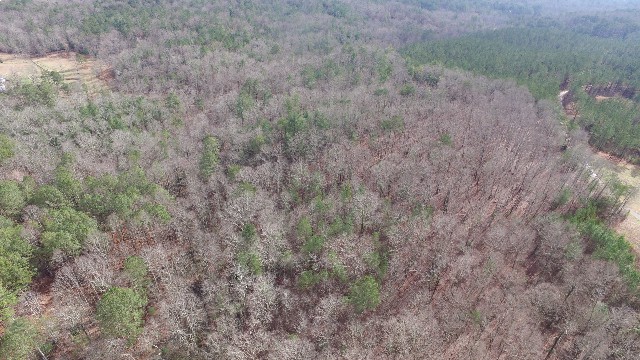 DJI_0008