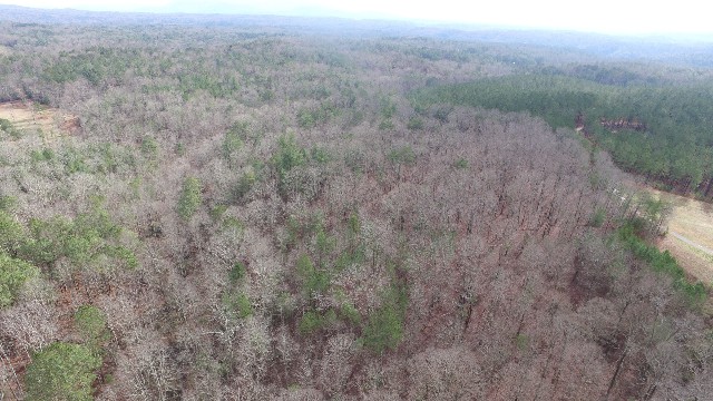 DJI_0009