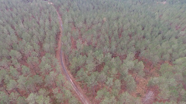 DJI_0015