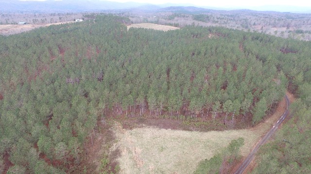 DJI_0017