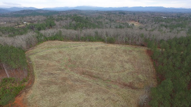 DJI_0019