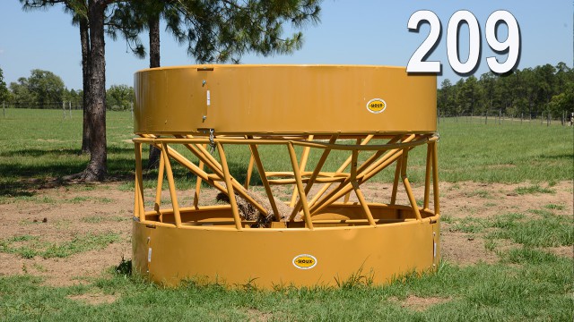 Lot 209.